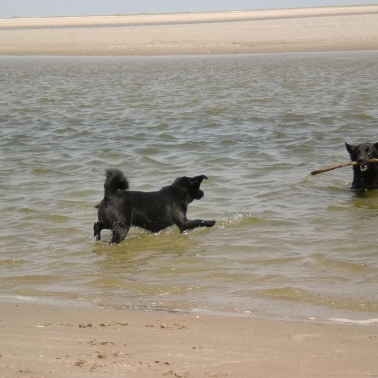 Meer ist toll
