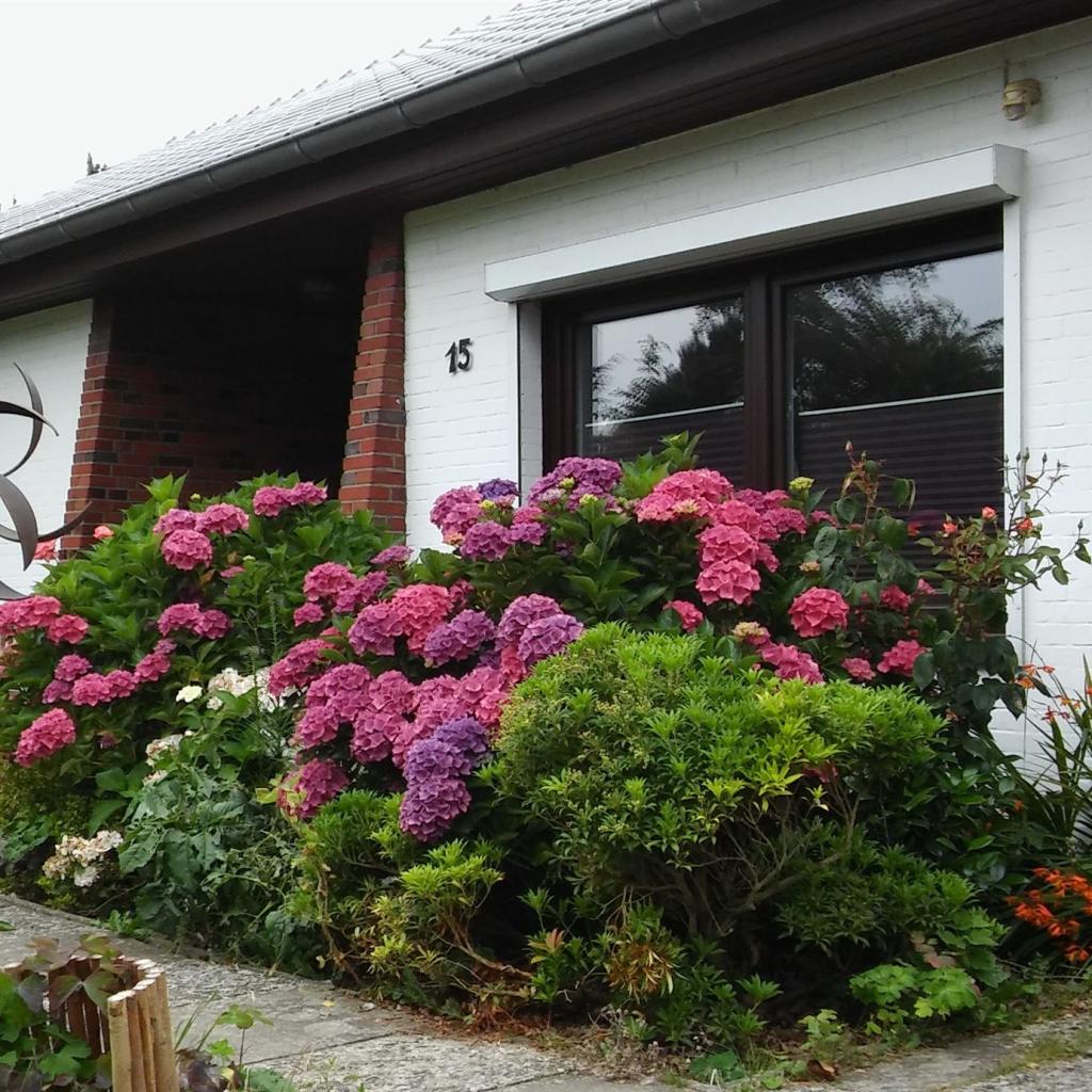 Ferienhaus Sonnenschmiede