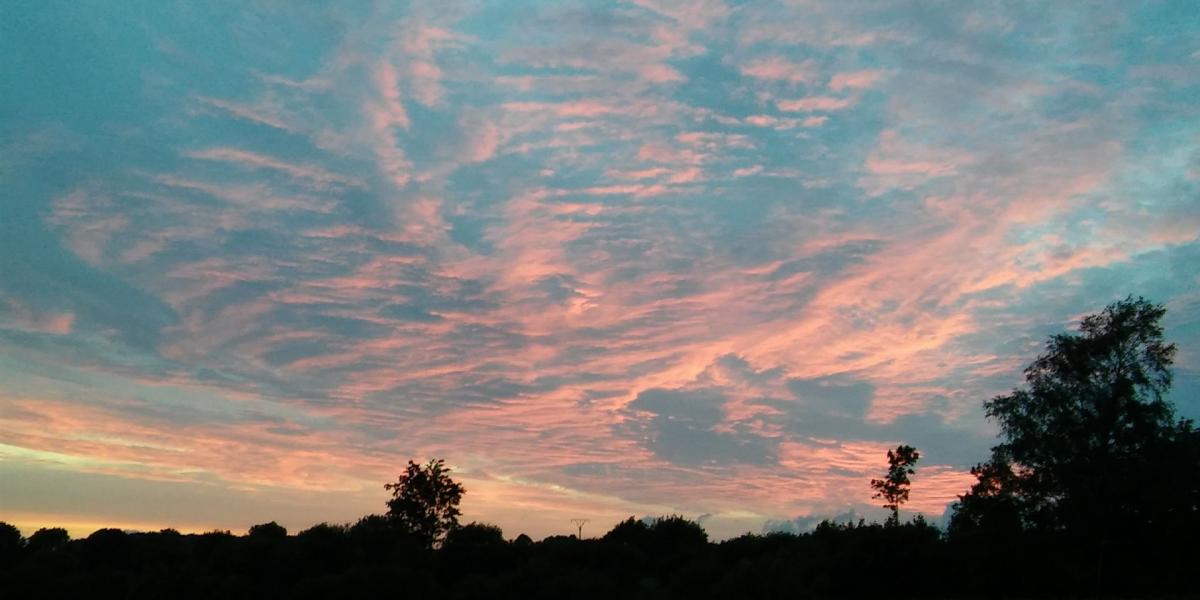 Sonnenuntergang in der Sternenwiese